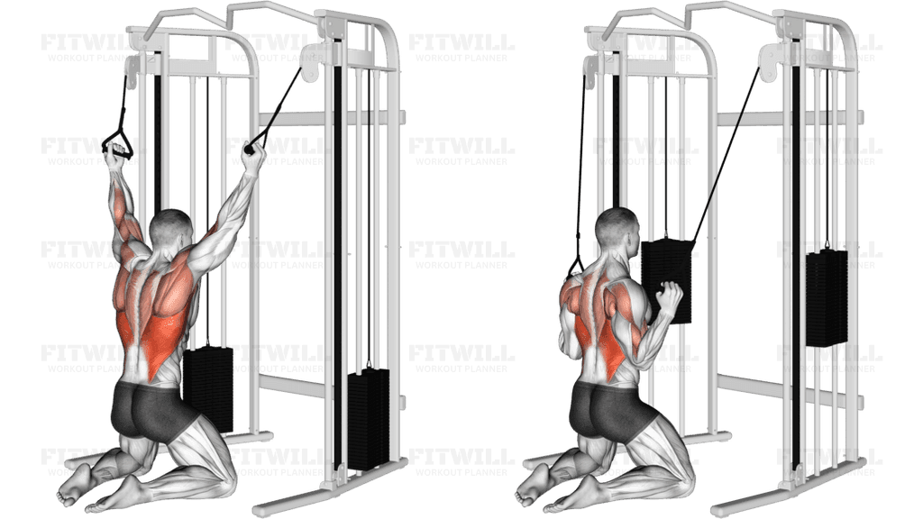 Cable Kneeling Parallel Grip Lat Pulldown