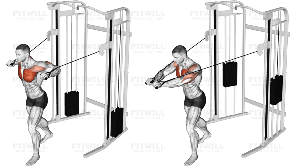 Cable Standing Chest Press