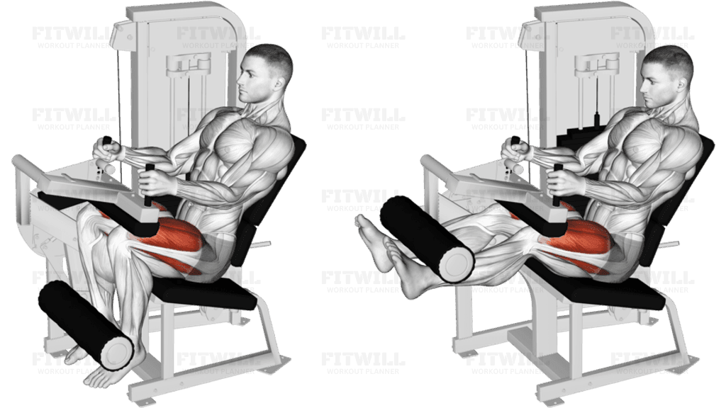 Lever Seated Leg Extension (VERSION 2)