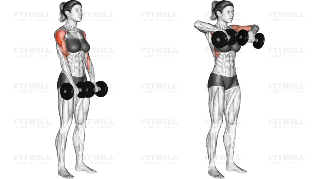 Dumbbell Upright Row