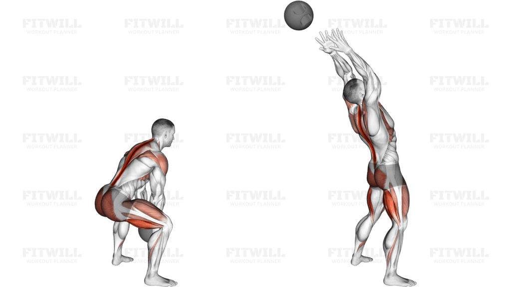 Medicine Ball Backward Throw