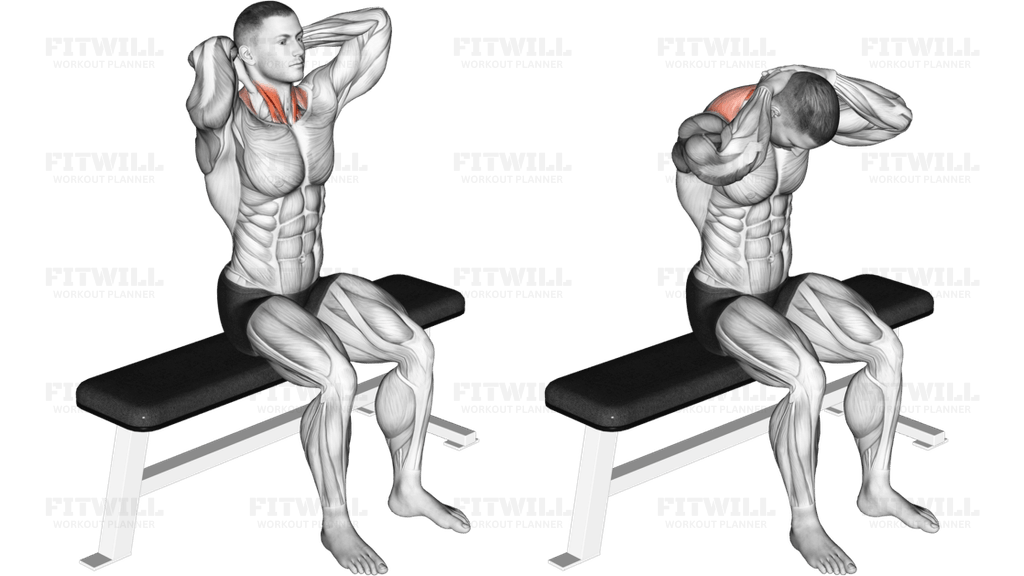 Seated Flexion And Extension Neck
