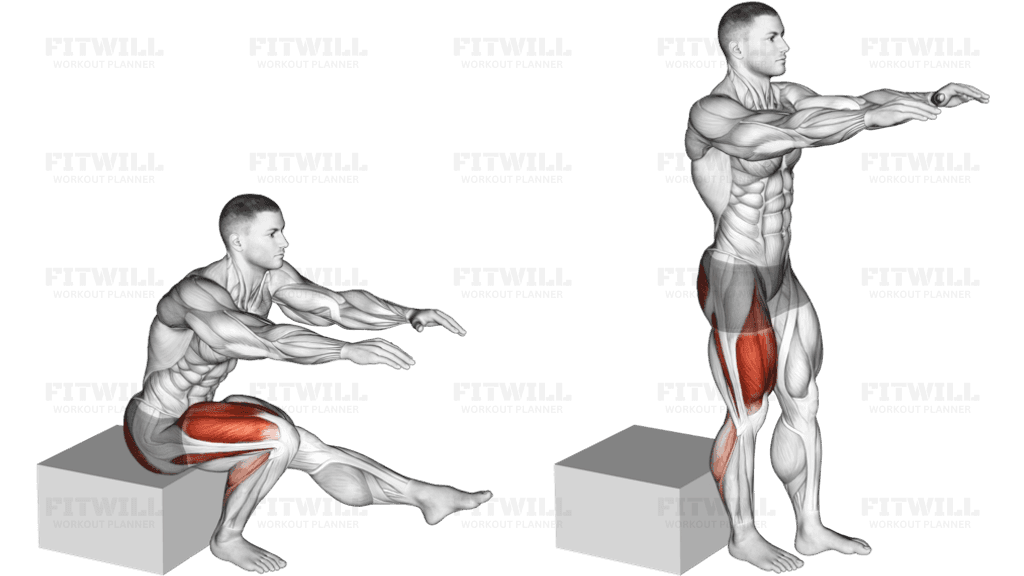 Single Leg Low Box Squat