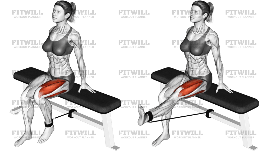 Band Seated Leg Extension