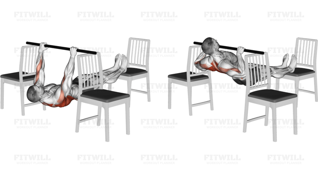 Elevanted Inverted Row between 3 Chairs