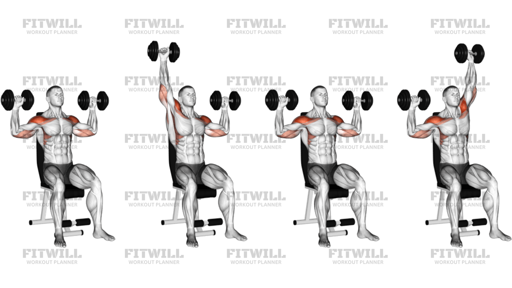 Dumbbell Seated Alternate Shoulder Press