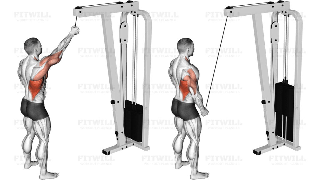 Cable One Arm Pulldown