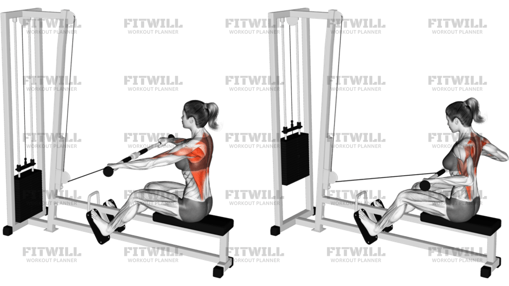 Cable Seated Wide Grip Row