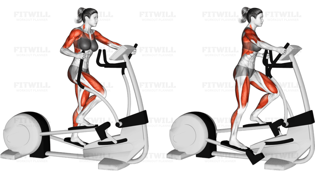 Walk Elliptical Cross Trainer