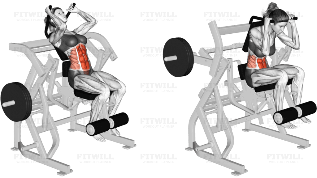 Lever Seated Leg Raise Crunch (plate loaded)