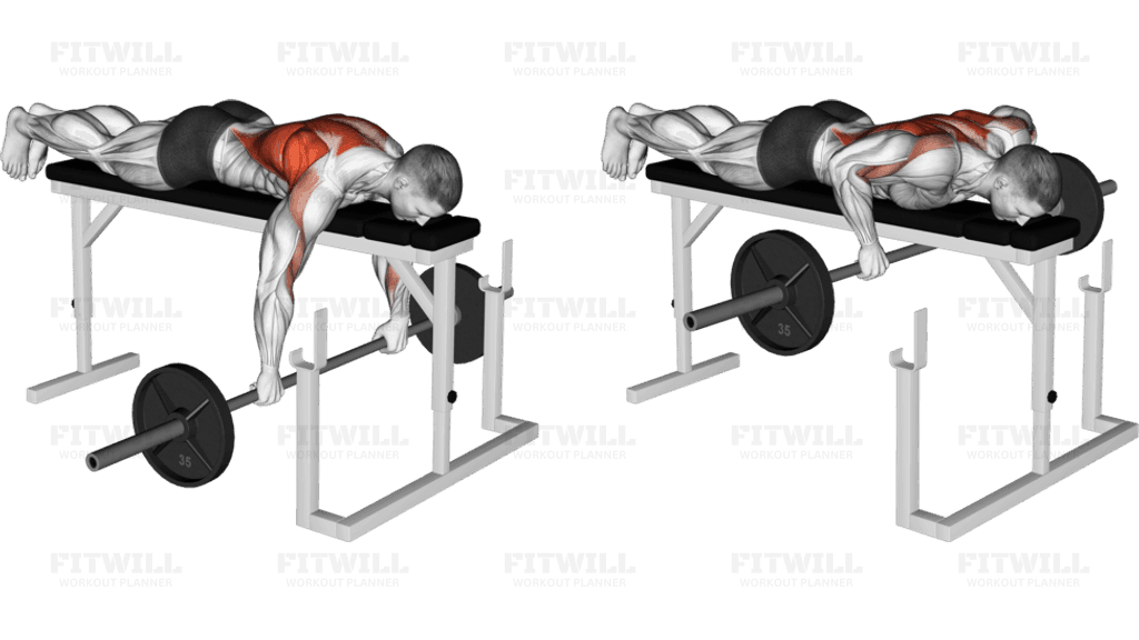 Barbell Lying Row on a Rack