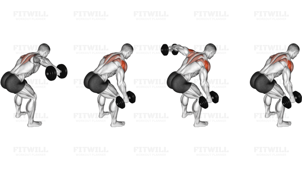 Dumbbell Bent Over Alternate Rear Delt Fly