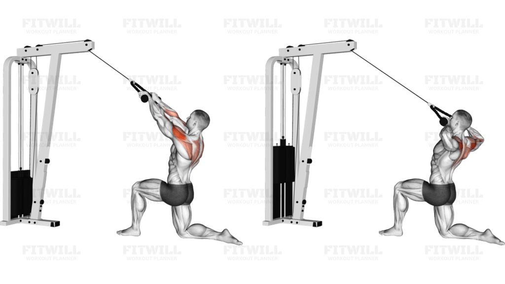 Cable Rope Kneeling Rear Delt Row