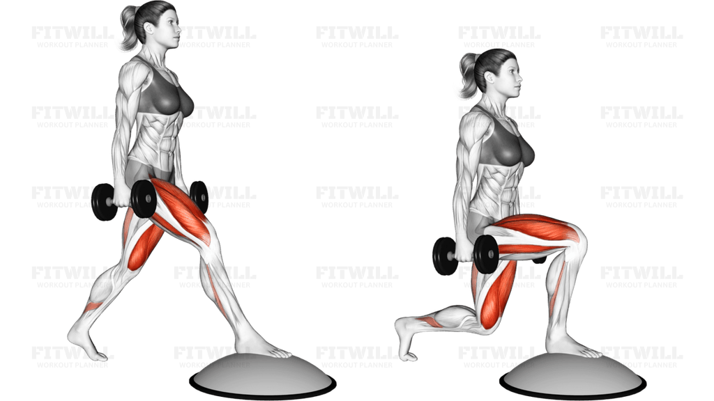 Dumbbell Split Squat Front Foot Elevanted with Bosu Ball