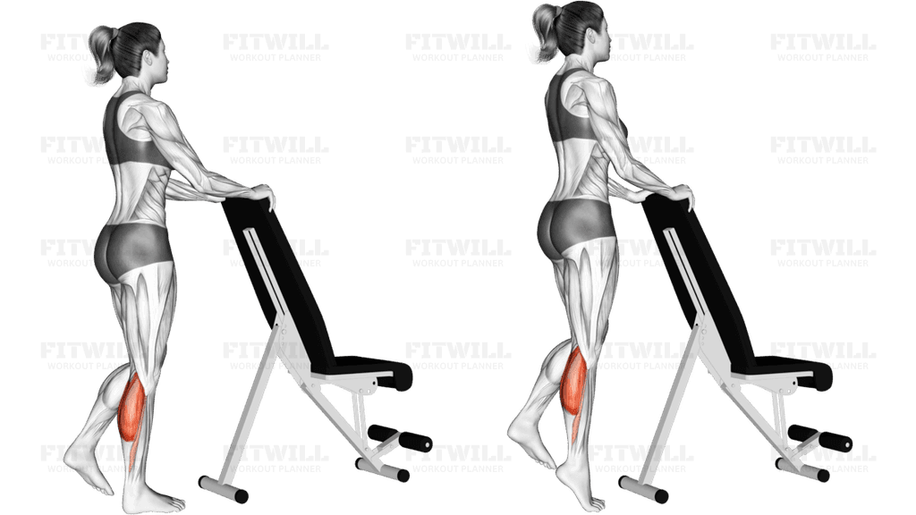 Standing Single Leg Calf Raise with Support