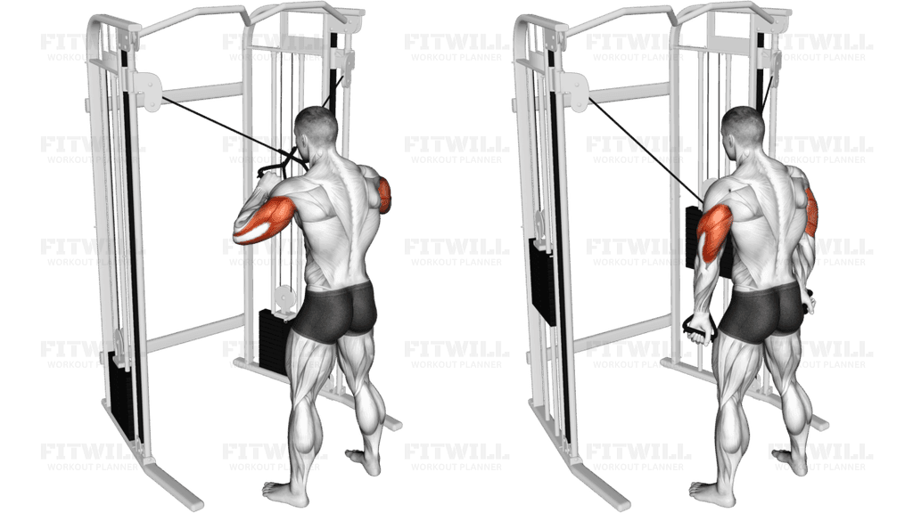 Cable Standing High Cross Triceps Extension