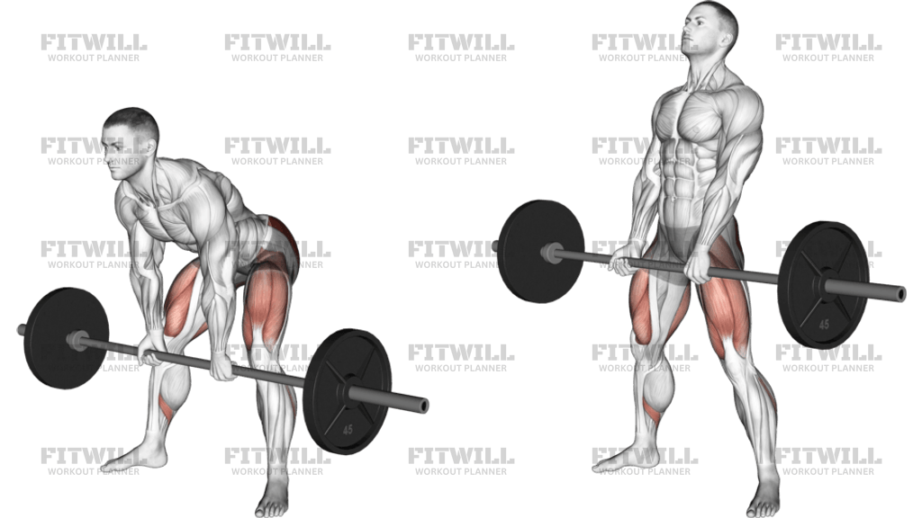 Barbell Sumo Romanian Deadlift