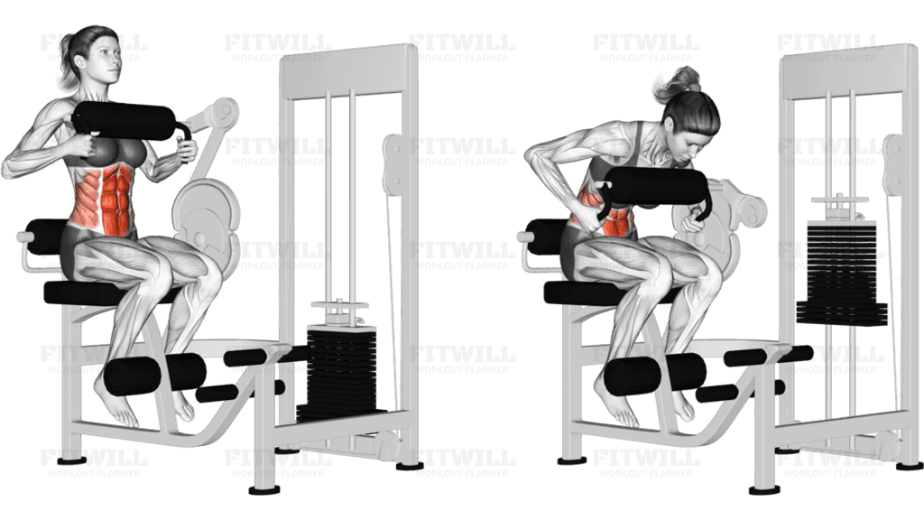 Lever Seated Crunch (chest pad)