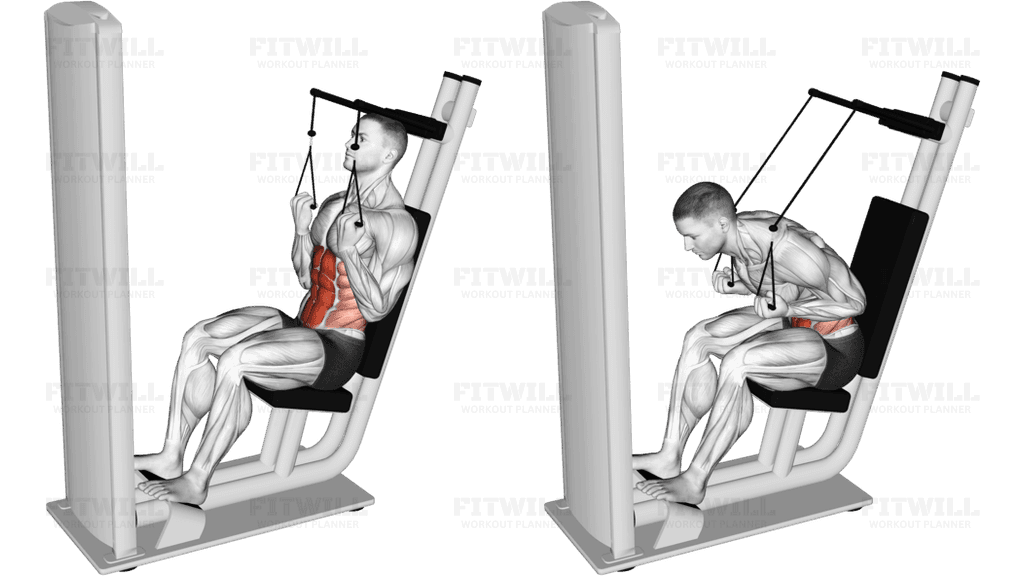 Lever Seated Crunch (VERSION 2)