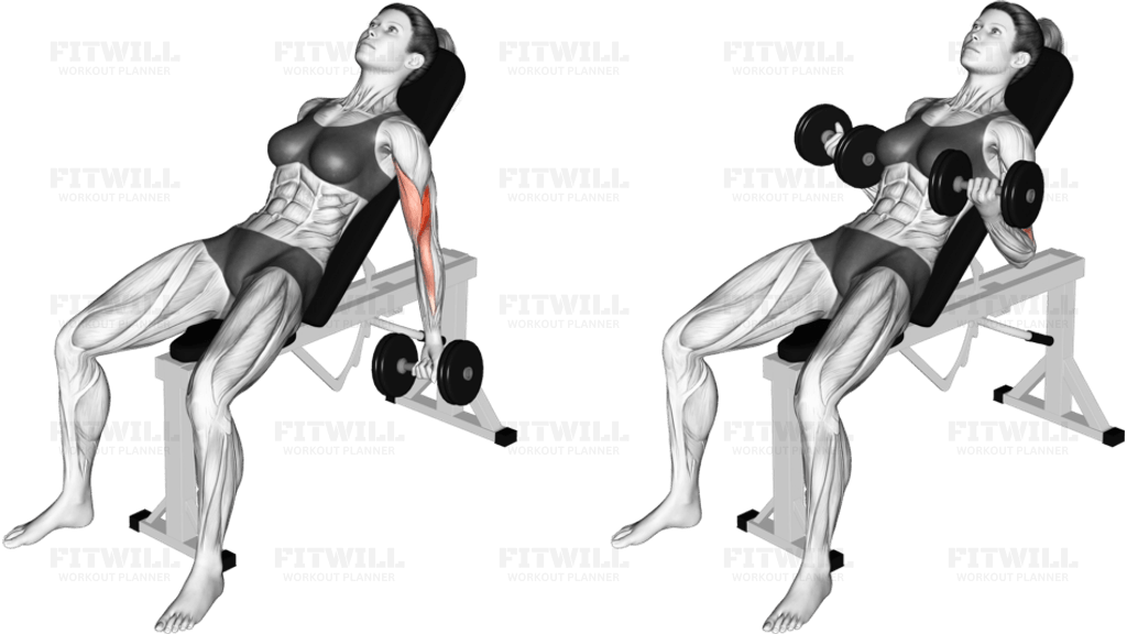 Dumbbell Incline Biceps Curl