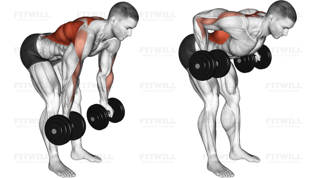 Dumbbell Bent Over Reverse Row