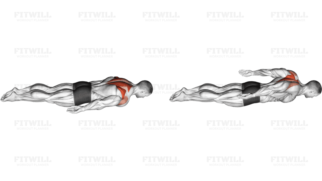 Bodyweight Lying Pulse Row