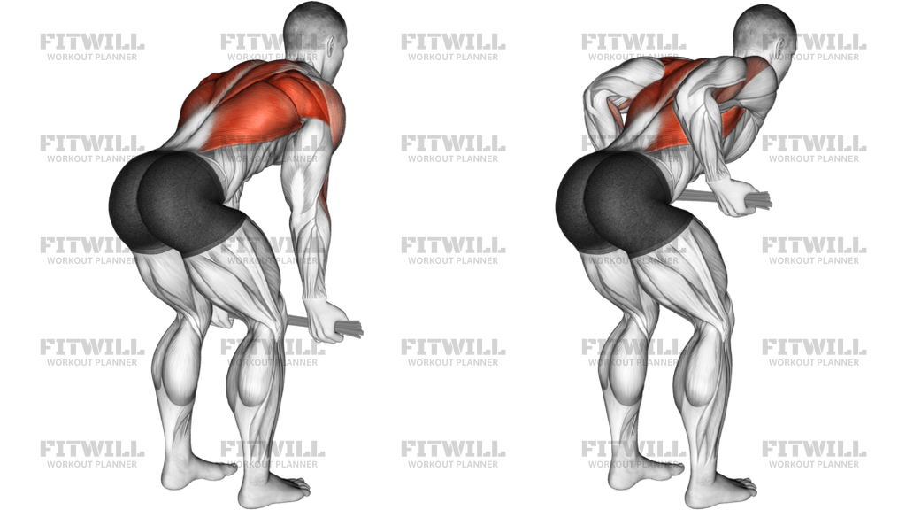 Bent-Over Row With Towel