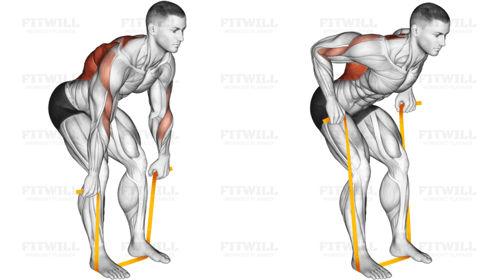 Resistance Band Bent Over Row