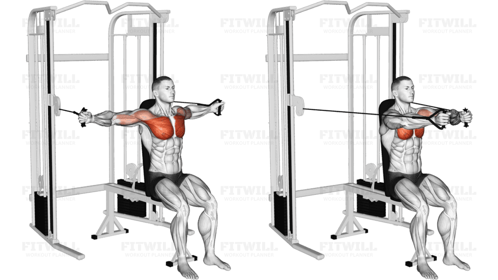 Cable Seated Chest Fly