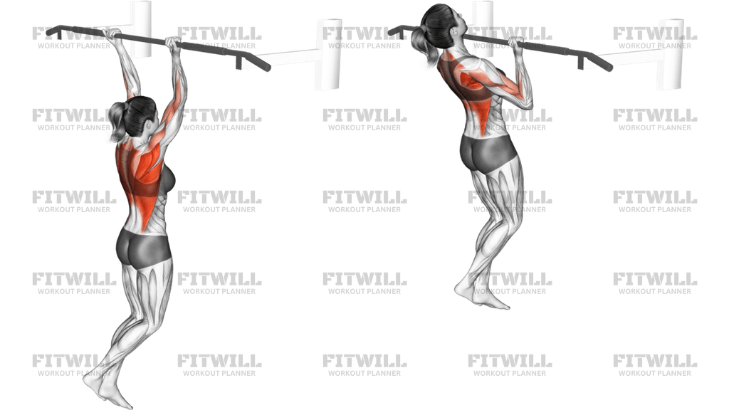 Reverse Grip Pull-up