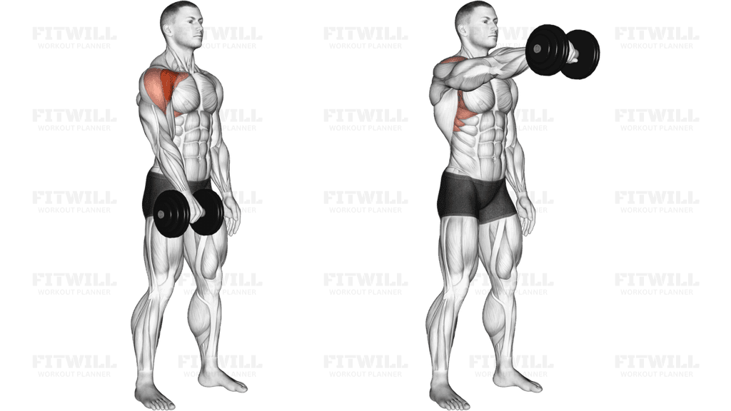 Dumbbell One Arm Front Raise