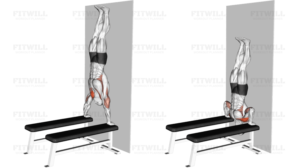 Handstand Shoulder Press with Wall (between benches)