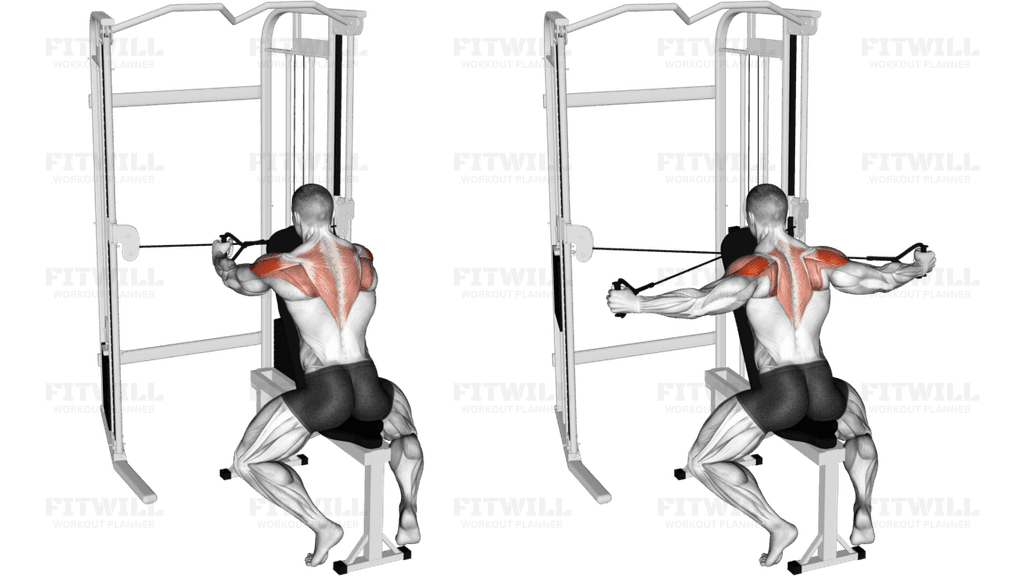 Cable Seated Rear Delt Fly with Chest Support