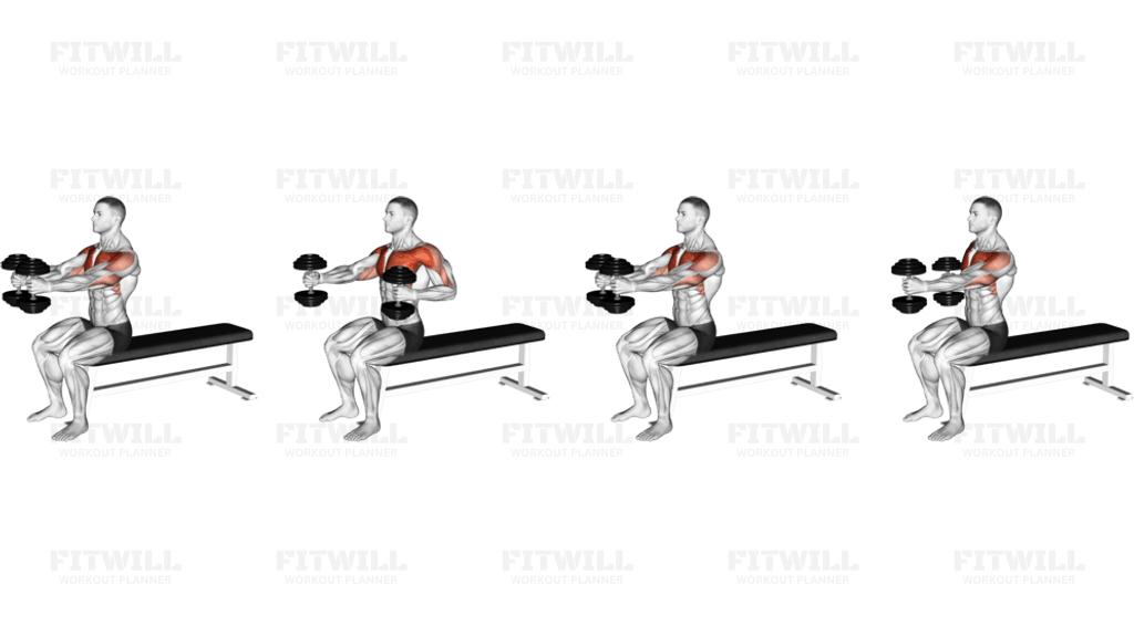 Dumbbell Seated Upright Alternate Squeeze Press