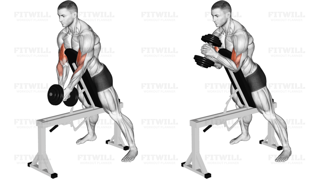 Dumbbell Single Spider Curl with Chest Support