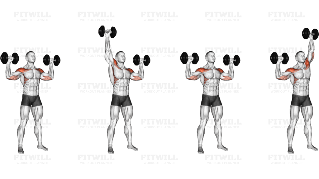 Dumbbell Alternate Shoulder Press