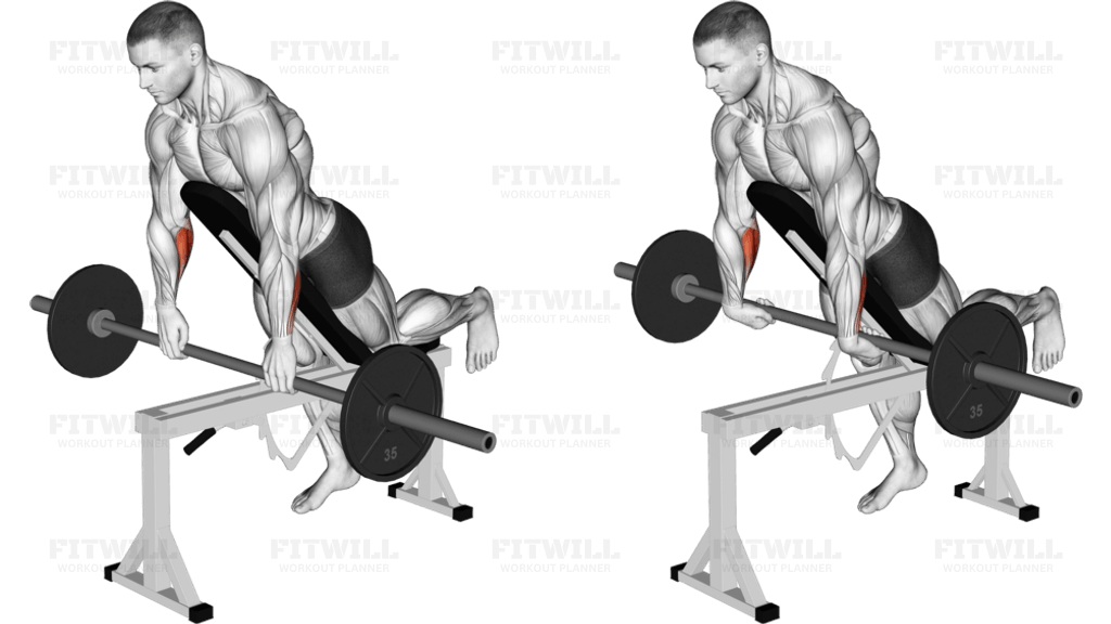Barbell Incline Wrist Curl with Chest Support
