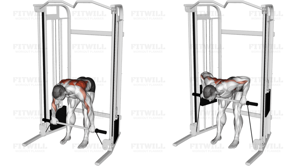 Cable Bent Over Row with Bar