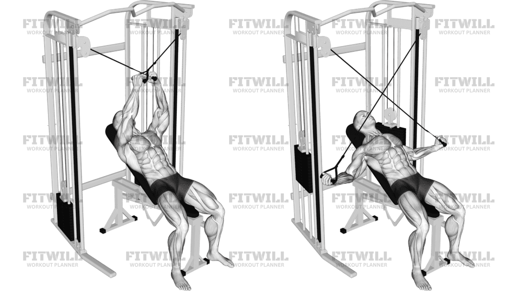 Cable Incline Cross Rear Fly