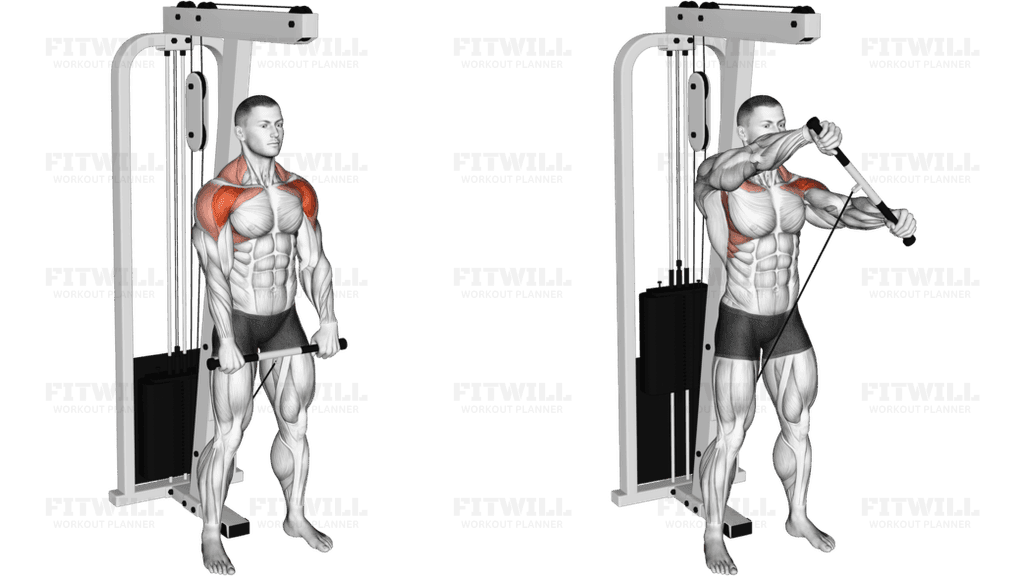 Cable Standing Front Raise With Rotation