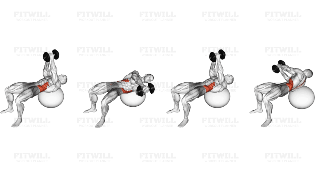 Dumbbell Russian Twist (on stability ball)