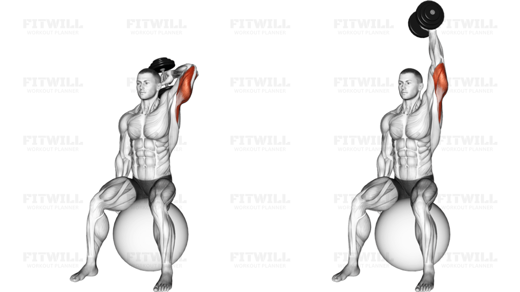 Dumbbell One Arm Triceps Extension on Stability Ball