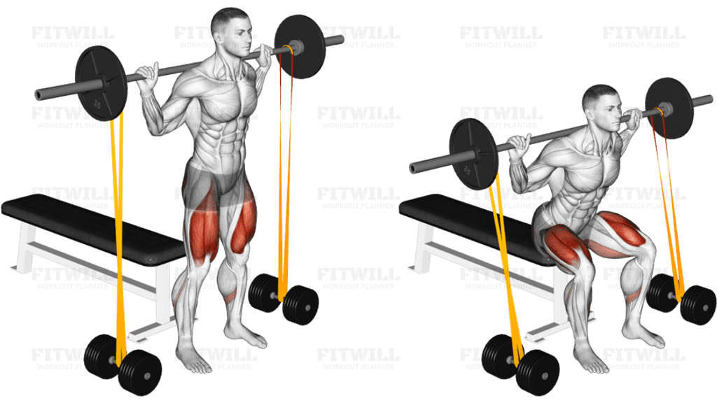 Barbell Banded Bench Squat