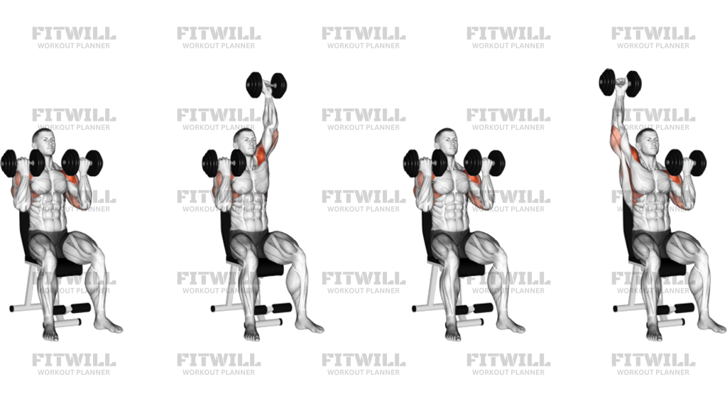 Dumbbell Alternate Arnold Press