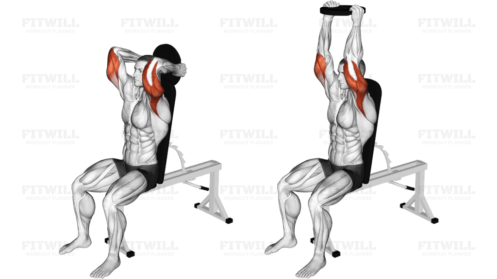 Weighted Seated Triceps Extension