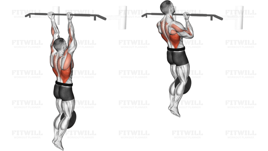 Weighted Chin-Up