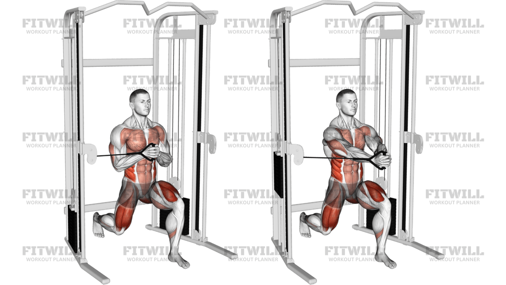 Cable Split Stance Horizontal Pallof Press