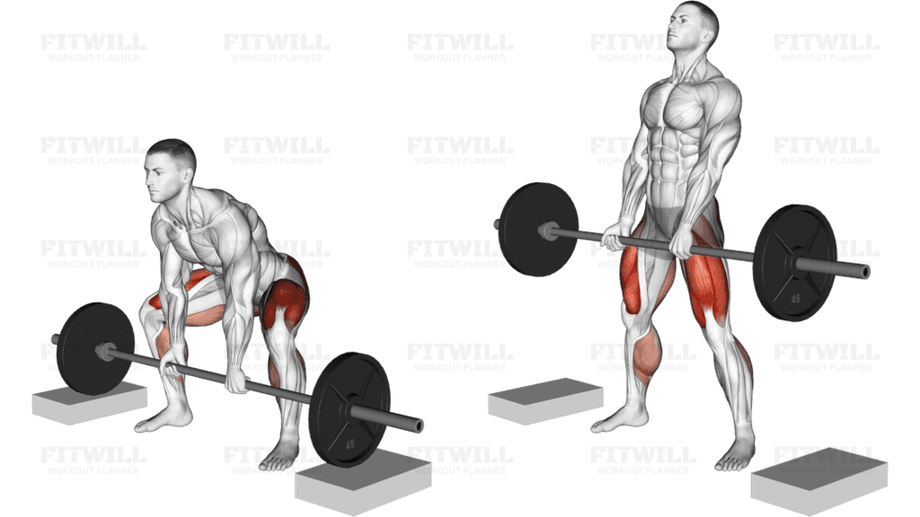 Barbell Sumo Deadlift from Blocks