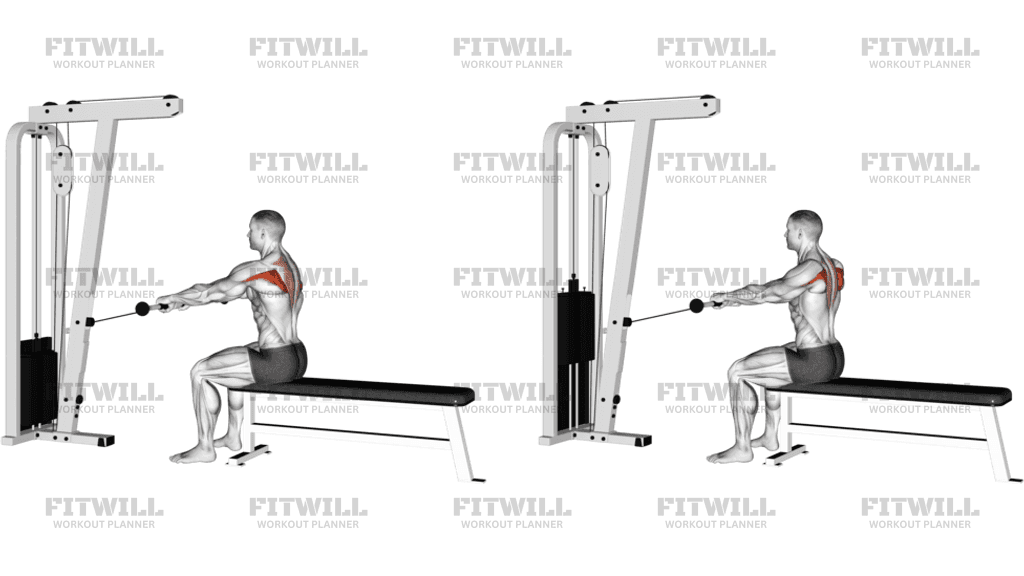 How to do Cable Seated Horizontal Shrug: Techniques, Benefits, Tips ...