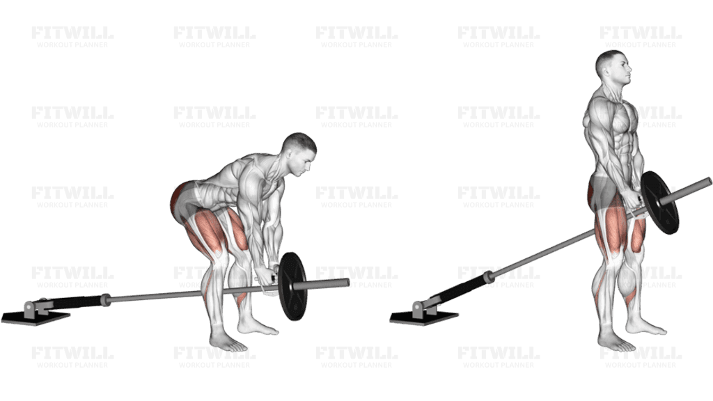 Landmine Romanian Deadlift